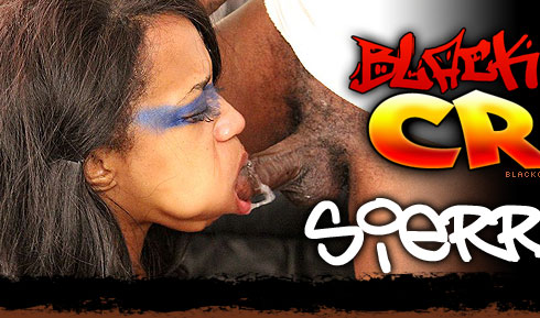 Black On Black Crime Destroys Sierra Lynn